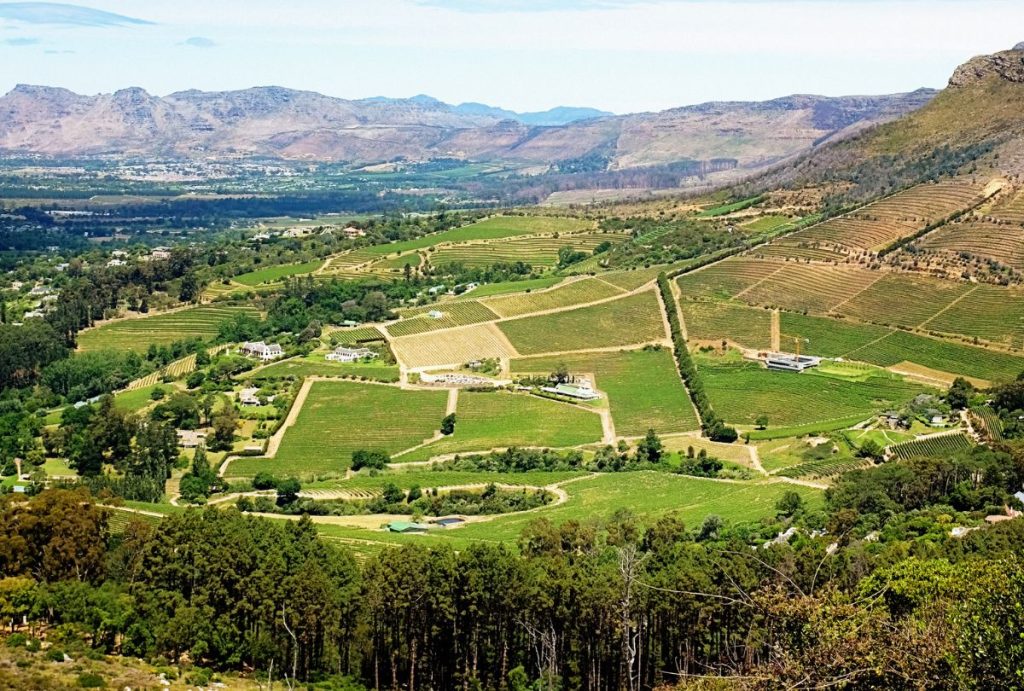 Vignobles de Constantia